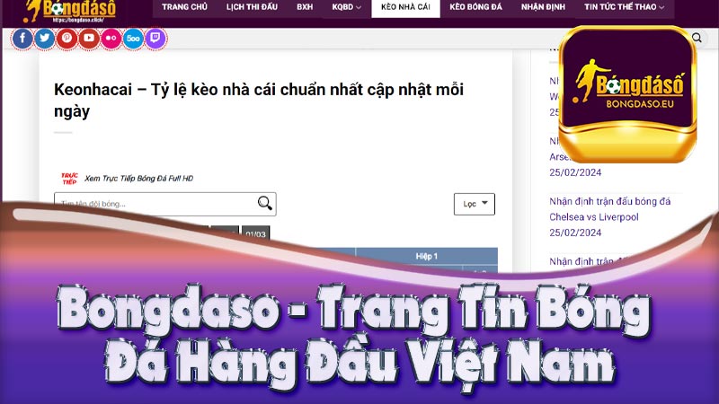 Bongdaso - Trang Tin Bóng Đá Hàng Đầu Việt Nam