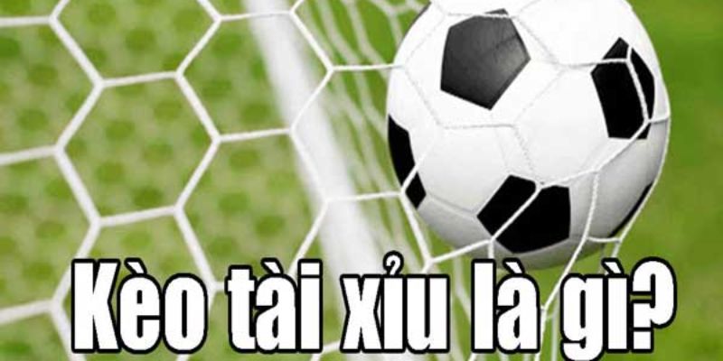 Cách bắt kèo tài xỉu tại 8xbet chuẩn xác nhất từ các cao thủ