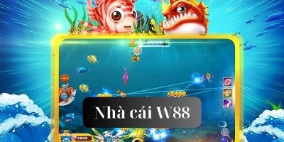  Đôi nét bắn cá w88 nhà cái