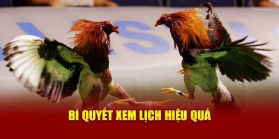 Bí quyết xem lịch hiệu quả