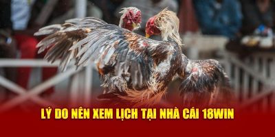 Lý do nên xem lịch tại nhà cái 18win