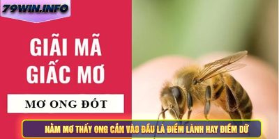 Luận Giải: Nằm Mơ Thấy Ong Cắn Vào Đầu Và Các Con Số May Mắn