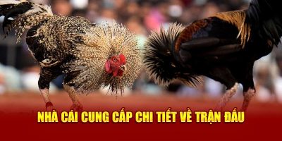 Nhà cái cung cấp chi tiết về trận đấu