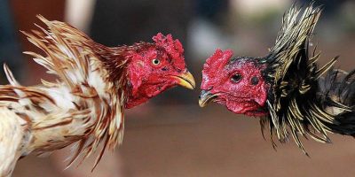 Các ưu đãi và khuyến mãi anh em nên biết