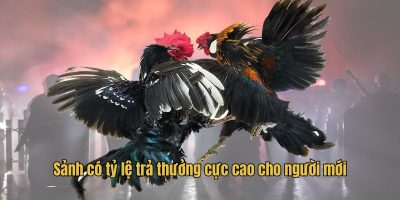 Sảnh có tỷ lệ trả thưởng cực cao cho người mới