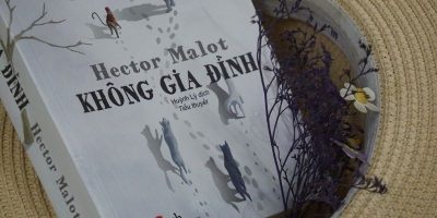 Không gia đình là cuốn sách ai cũng nên đọc