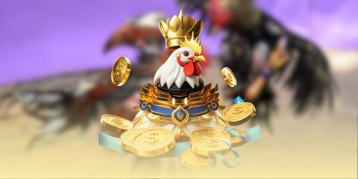 Không khí cuồng nhiệt tại trường gà Philippines