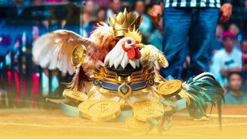 Nhận diện các hình thức đá gà đang phổ biến hiện nay