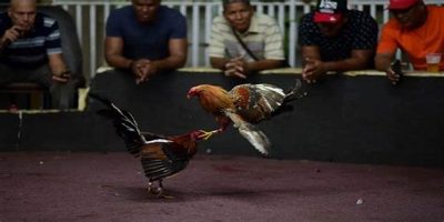Cập nhật ở mọi lúc