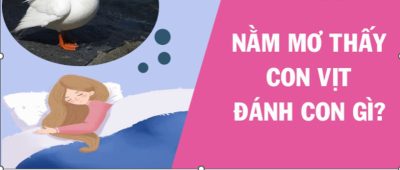 Nằm mơ thấy con vịt đánh con gì