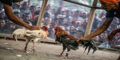 Thiết bị cần có sẵn