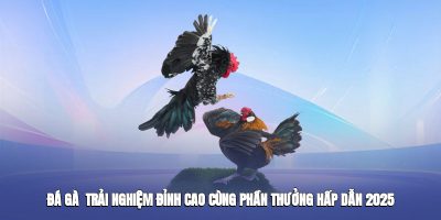 Đá Gà 23win | Trải Nghiệm Đỉnh Cao Hấp Dẫn Năm 2025