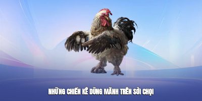 Những chiến kê dũng mãnh trên sới chọi
