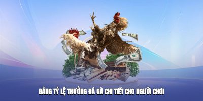 Bảng tỷ lệ thưởng đá gà chi tiết cho người chơi