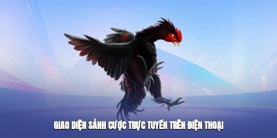 Giao diện sảnh cược trực tuyến trên điện thoại