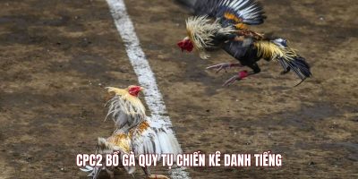 CPC2 bồ gà quy tụ chiến kê danh tiếng