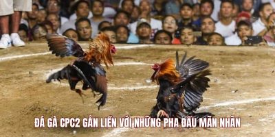 Đá gà CPC2 gắn liền với những pha đấu mãn nhãn