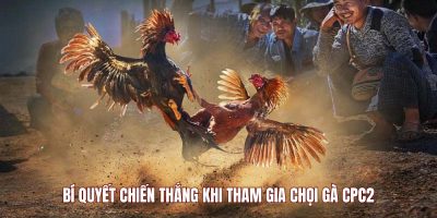 Bí quyết chiến thắng khi tham gia chọi gà CPC2